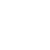 Icon-1 w