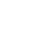 Icon-2 w