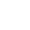 Icon-9 w