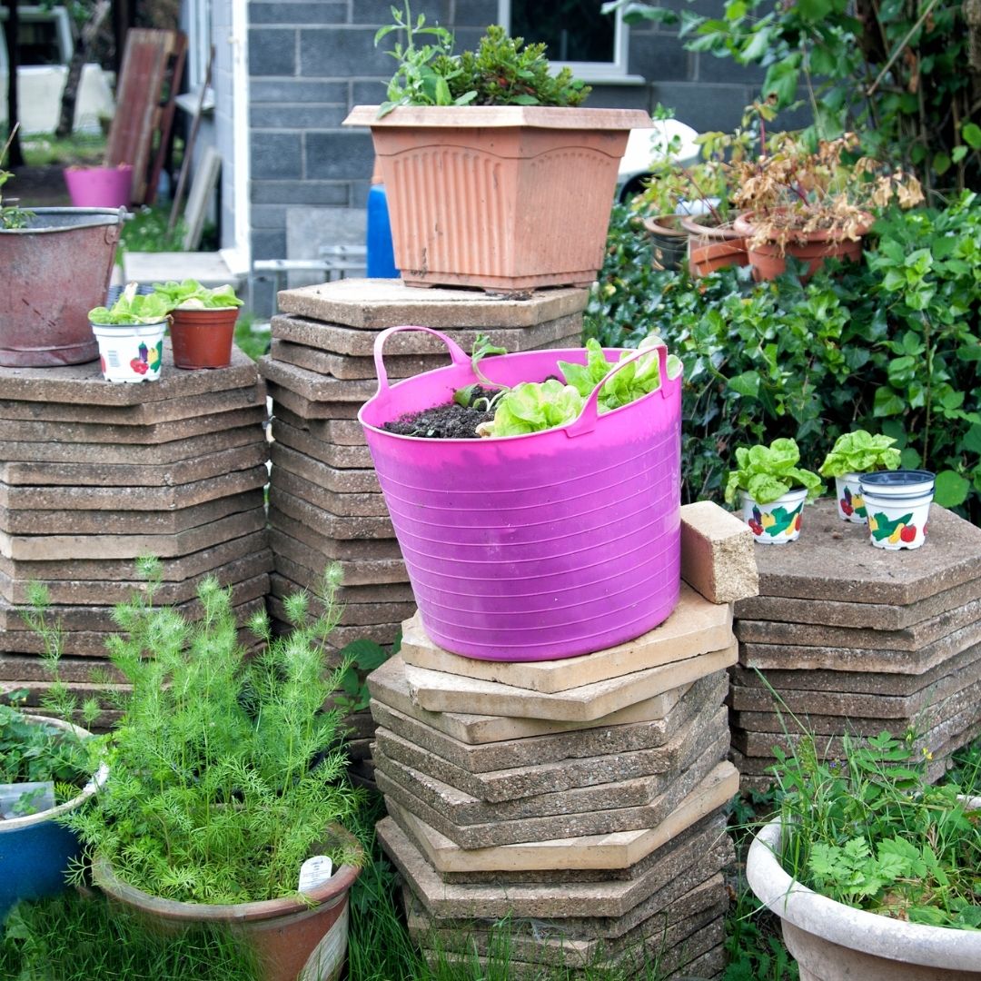 planting materials
